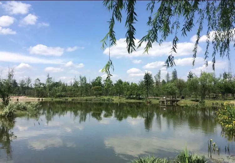 成都新增2个公园,成都到处都是公园城市