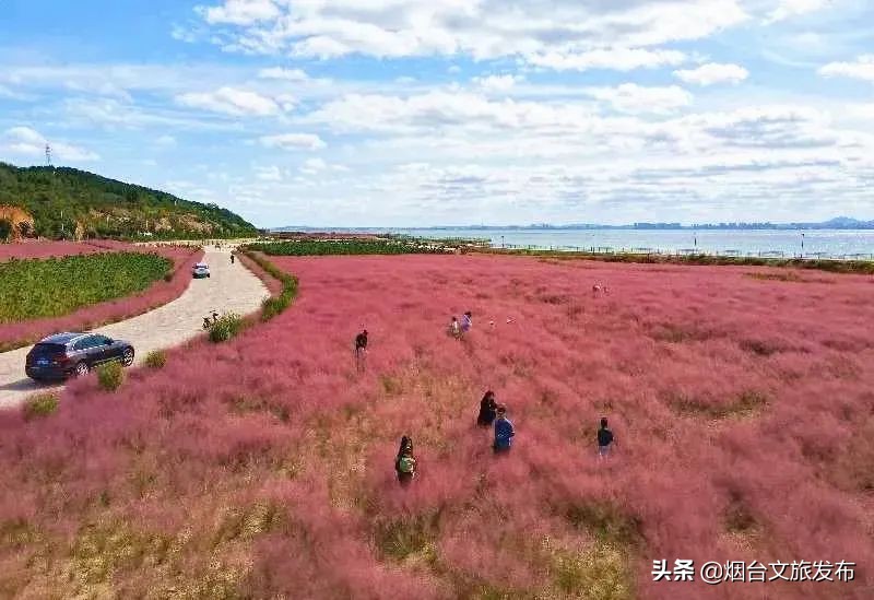 大自然打翻了调色板的唯美句子,烟台自然景点