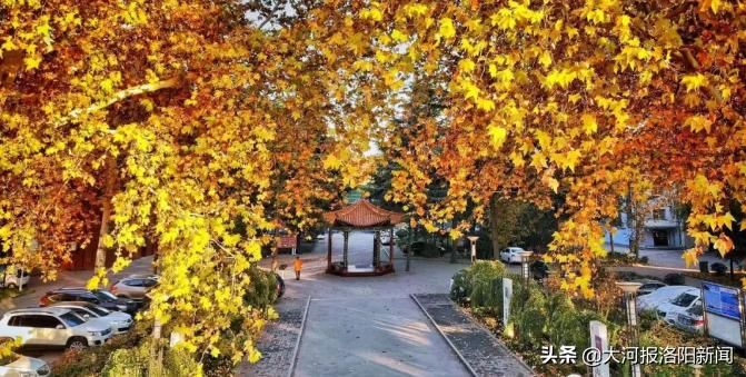 热烈祝贺洛阳八中荣获吉林大学“优秀生源基地”称号