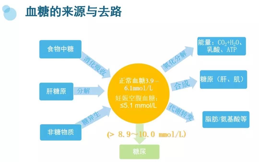 吃糖会导致子宫衰老吗,多吃糖会加速衰老吗
