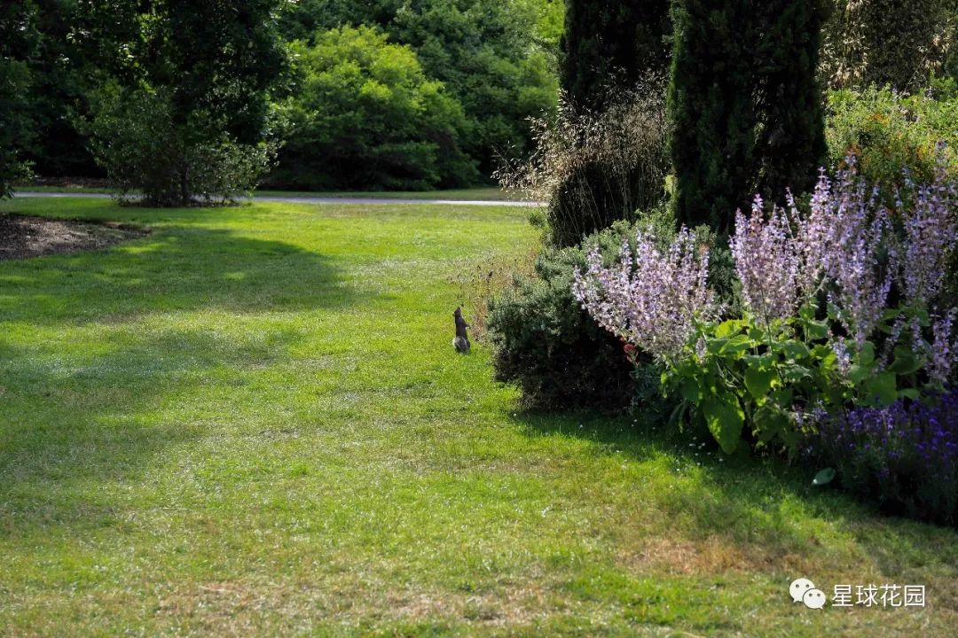 二木带你游花园|邱园（kewgarden）离我们到底有多远？