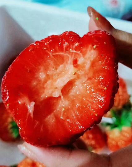 怎么辨别真假丹东草莓 (丹东九九草莓真假鉴别)