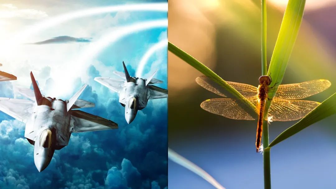 ppt背景图片怎么无法编辑,ppt背景图怎么复制不了