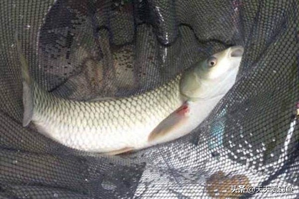 冬天钓鱼什么风向好钓鱼,什么风向好钓鱼东南风好钓鱼吗