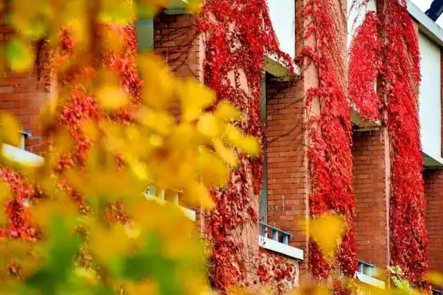 成都有名学校七中,成都除了七中还有哪几所好中学