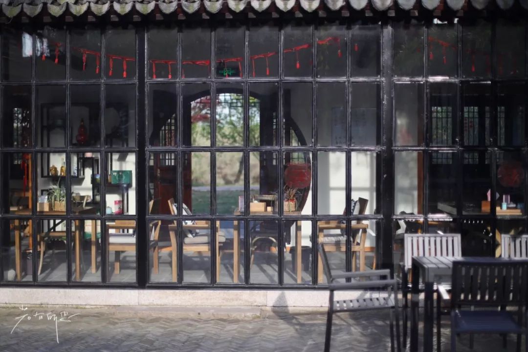 三月赏花一日游上海景点,本月上海赏花一日游最佳去处