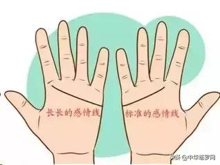 手相之感情线揭露感情的秘密,手相感情线大全图