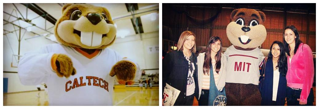 高校吉祥物盘点,高校吉祥物图鉴大全