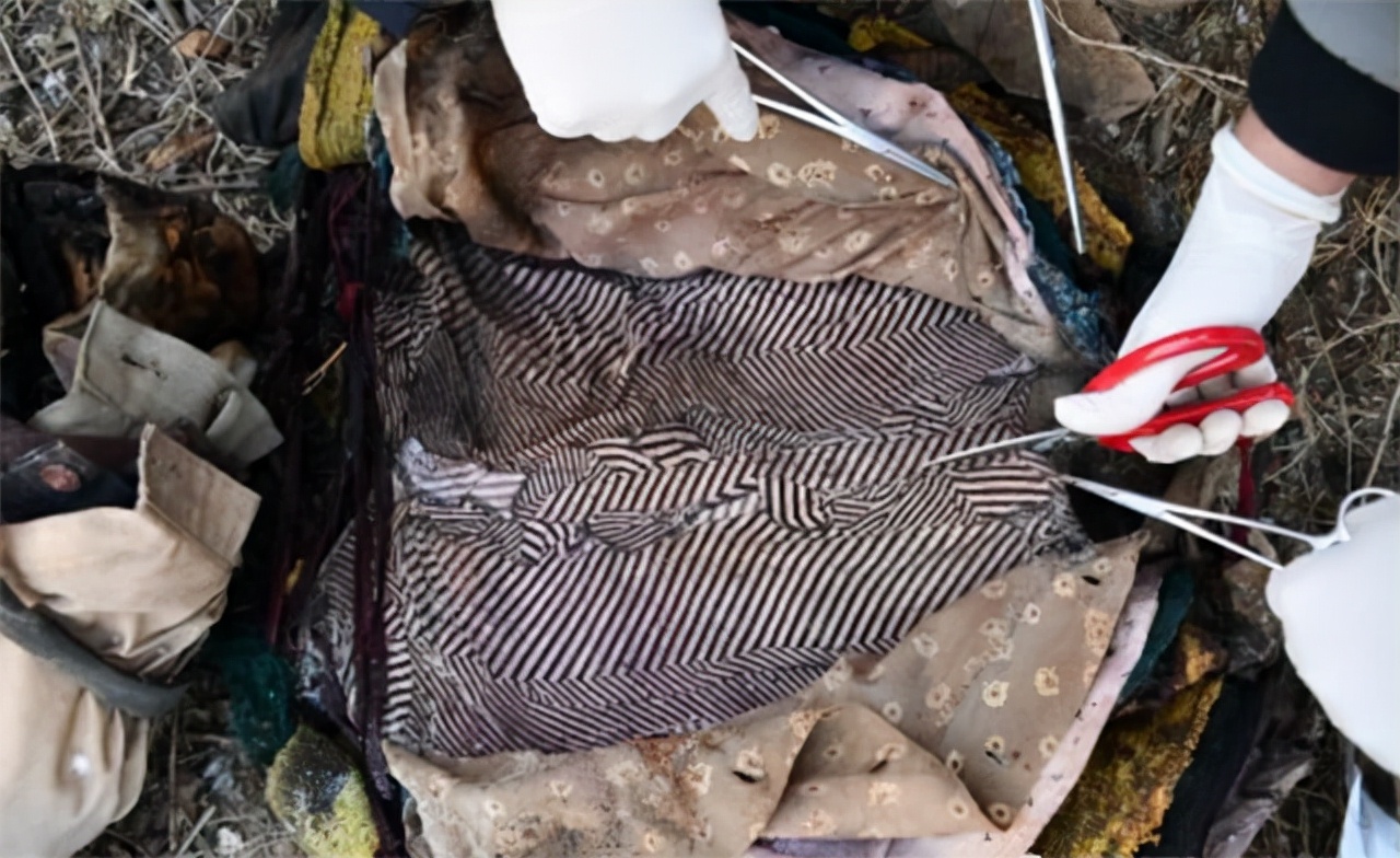 一头死猪牵出24具女尸案完整,一头死猪牵扯出24条命案