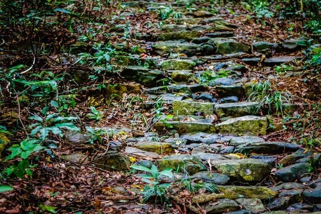深圳经济特区的生日,深圳经济特区生日快乐