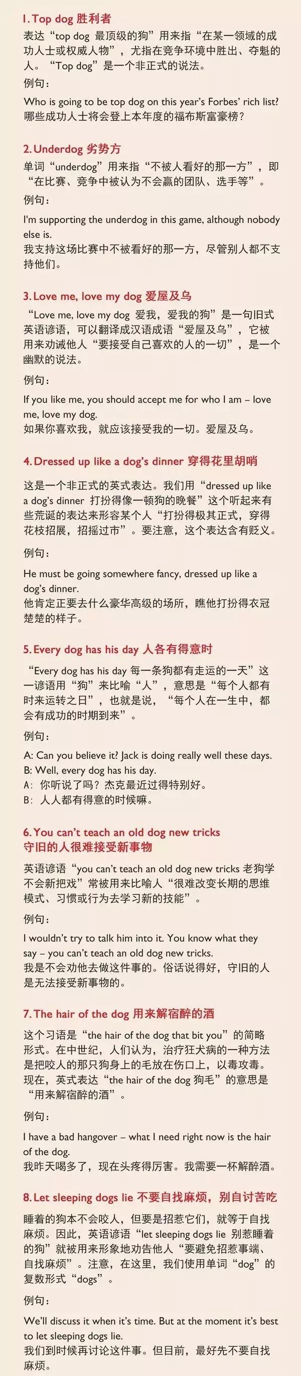 ilovedog是什么意思,ilovedog翻译