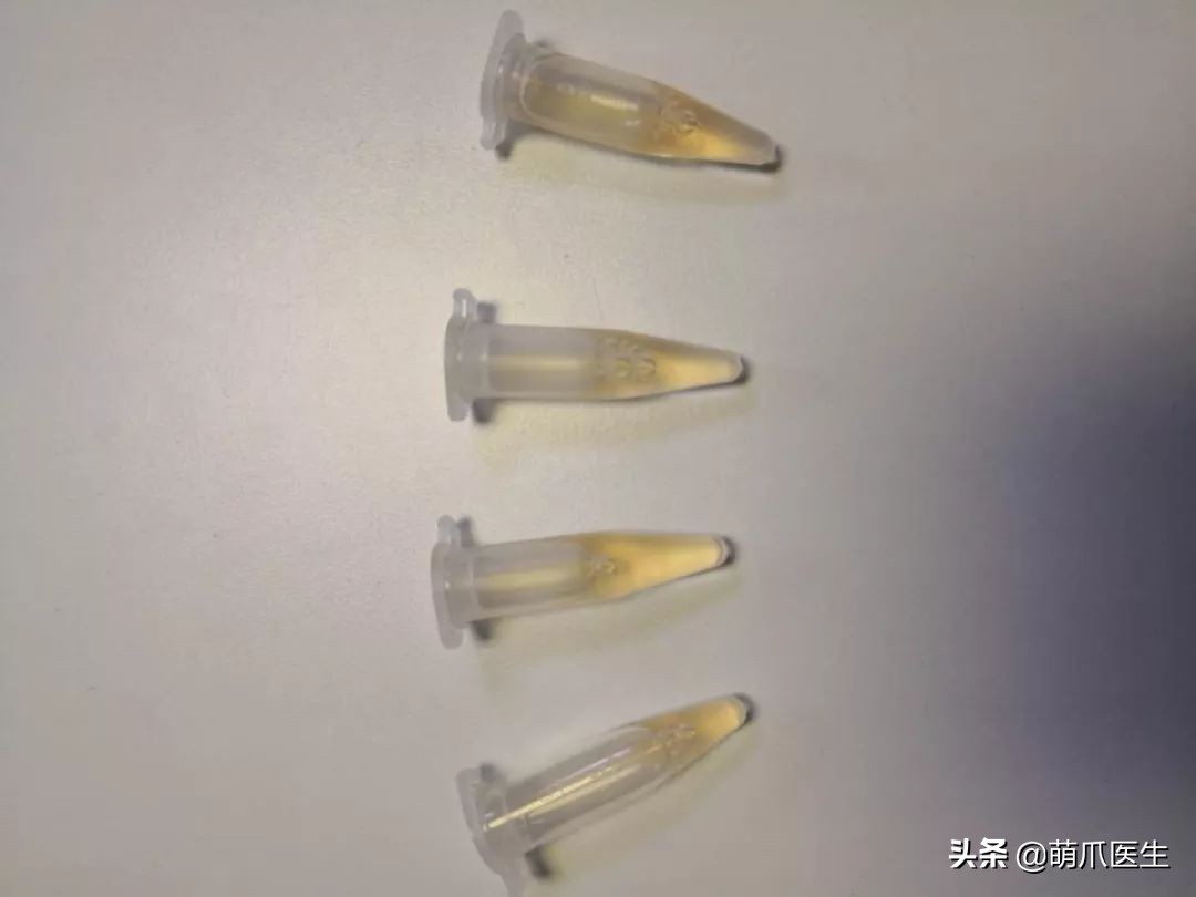 丧尽天良的黑心试剂盒，你们害死了多少猫