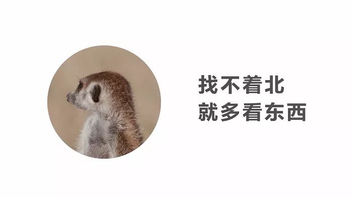 抖音最火走心的句子2022爆款文案,2021年简短走心句子新年高端文案