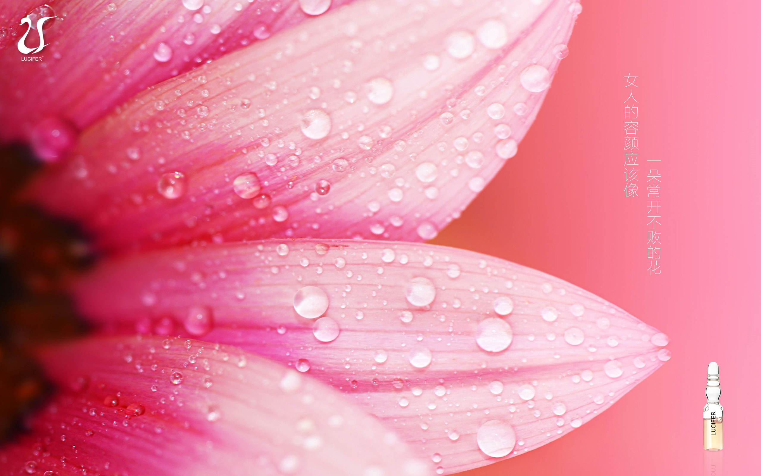 假的兰蔻粉水能用吗,兰蔻粉水保质期多长