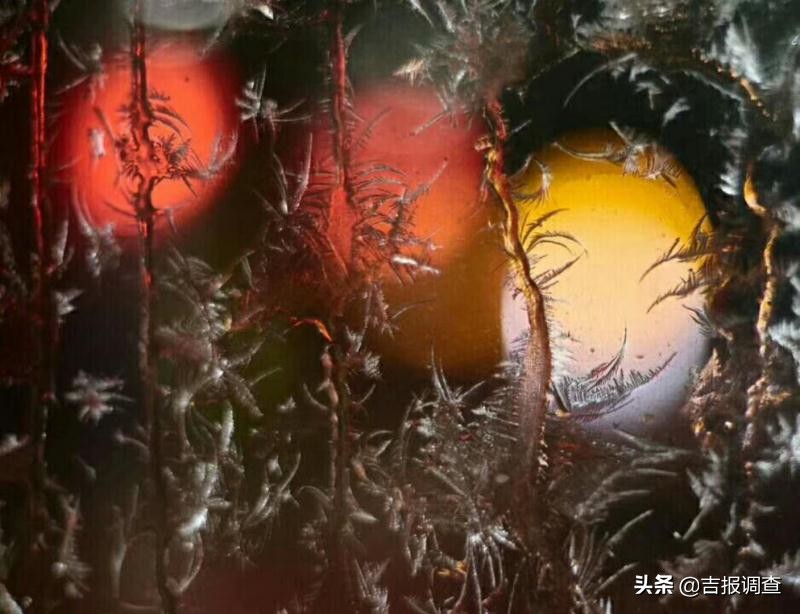 玻璃窗上的霜花像什么,玻璃上的霜花是什么样子
