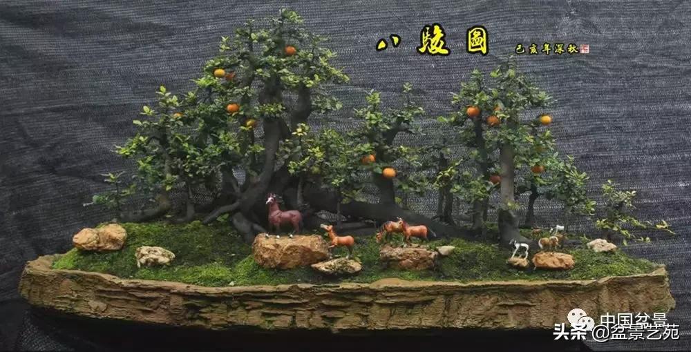 金银花盆景的修剪方法,盆景的修剪知识与技法