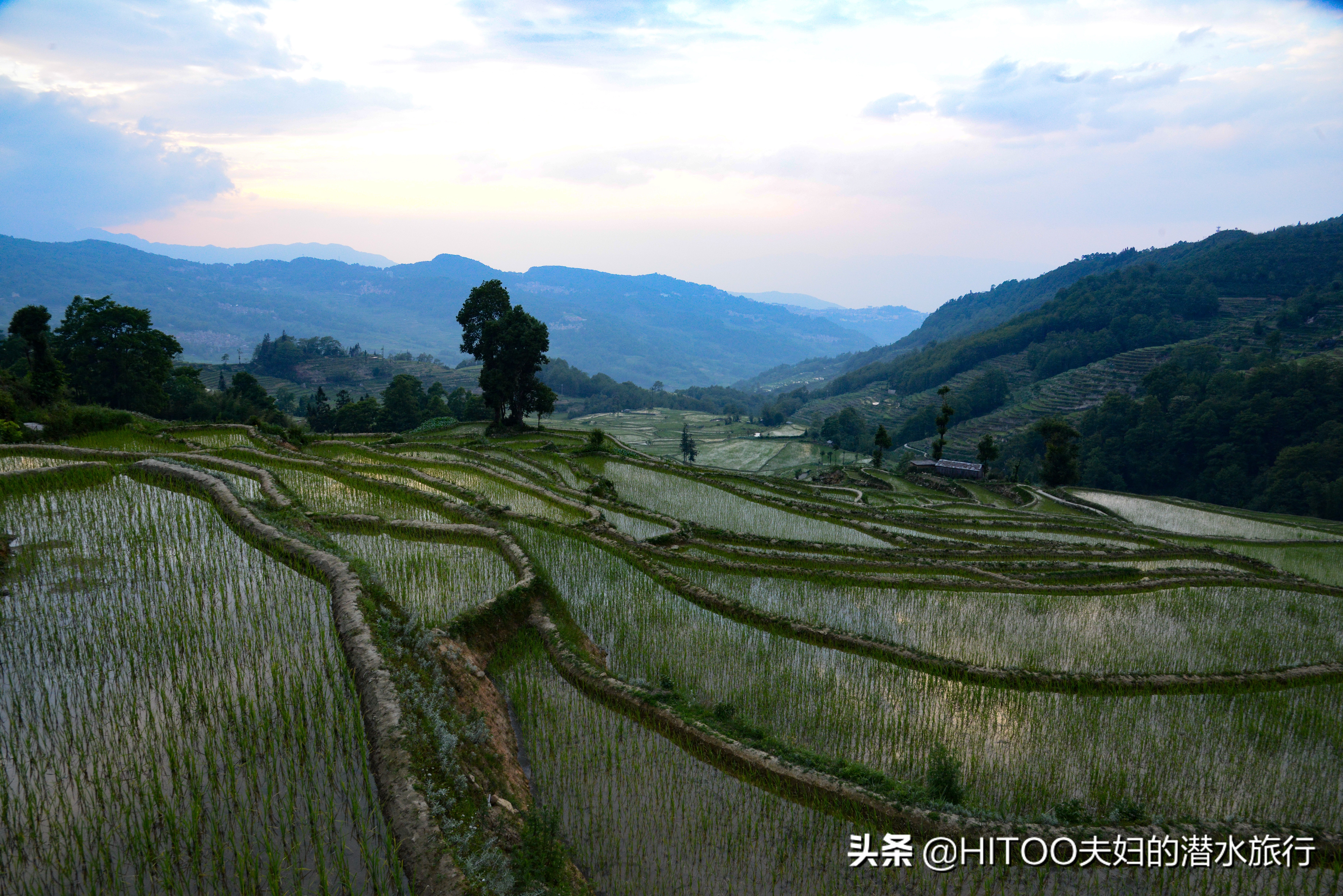 不花钱看元阳梯田自驾攻略,元阳梯田自驾游攻略