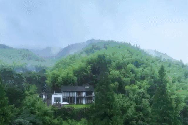 民宿投资真的有风险吗,民宿投资合伙人骗局