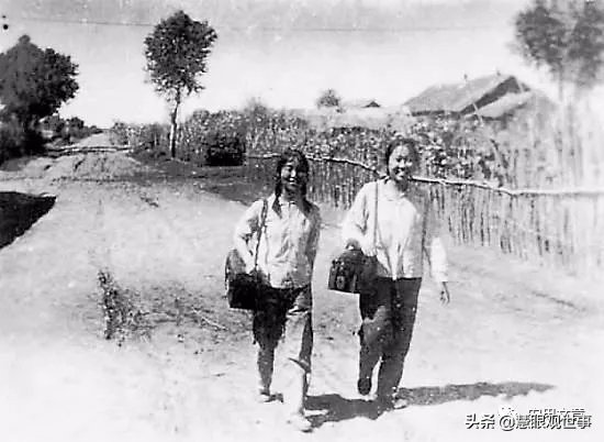 用什么方法消灭鼠疫,1949年察北鼠疫