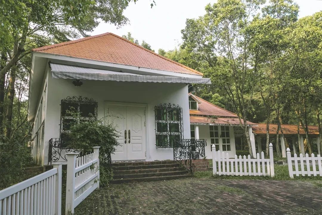 深圳龙华适合小孩子玩的免费景点,深圳适合一日游好玩的地方推荐