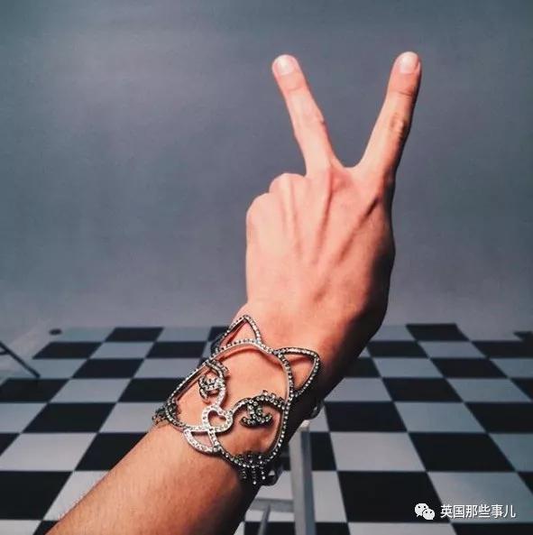 老佛爷的猫继承多少遗产,老佛爷去世后财产留给了一只猫