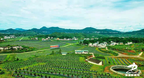 漳浦:农旅“联姻”喜增收——“壮丽新时代·百家媒体看仪陇”采访小记