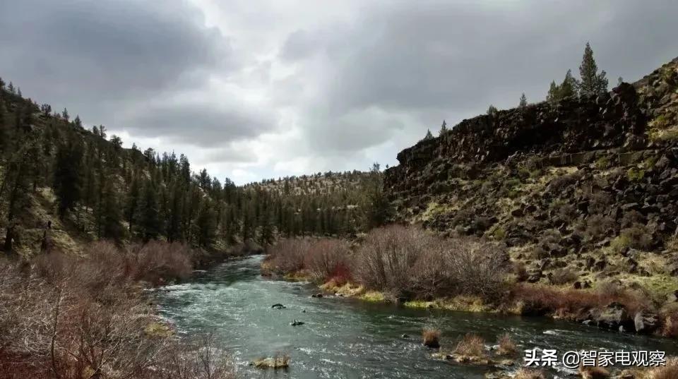 膳魔师召回30万只儿童保温杯,膳魔师保温杯为什么要召回