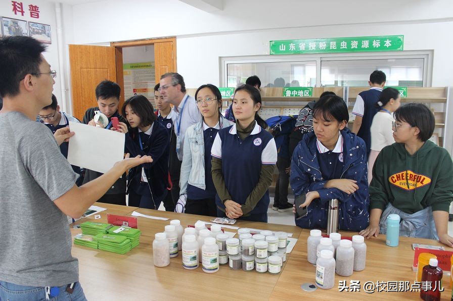 济南国际外国语学校哪所好,济南外国语学校省招好考吗