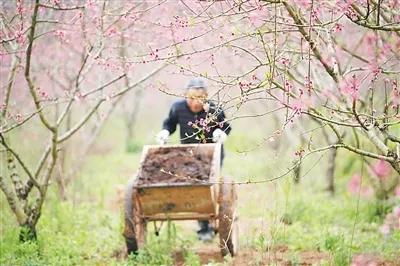 微量元素的作用和使用方法,中微量元素的正确使用方法