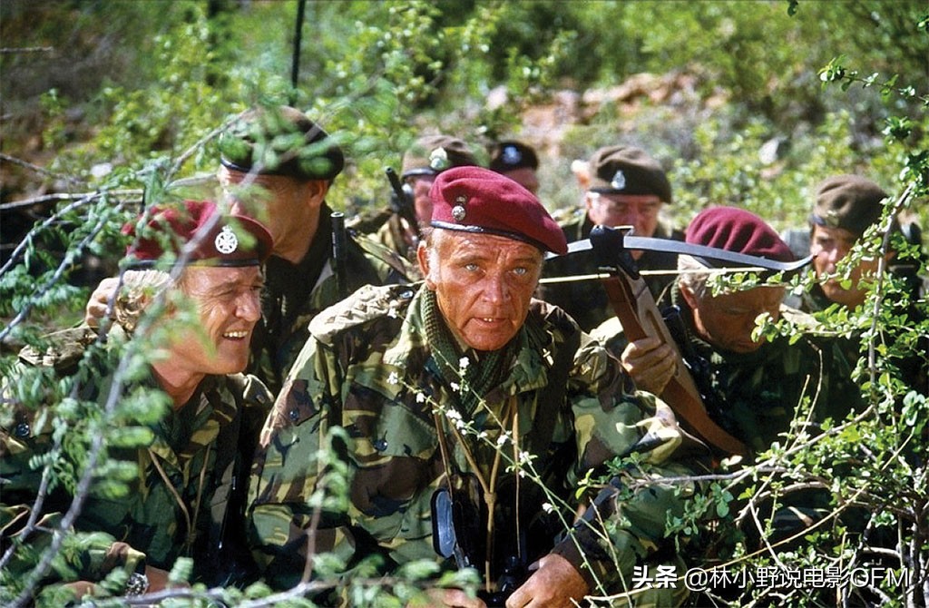 电影海狼剧透简介图片,老电影《海狼》海报