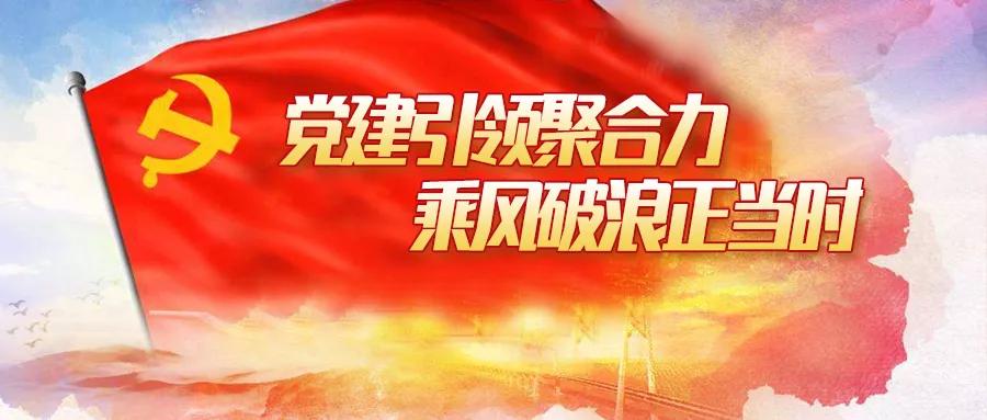 党建引领促发展聚力同心谱新篇,党建引领凝聚正能量