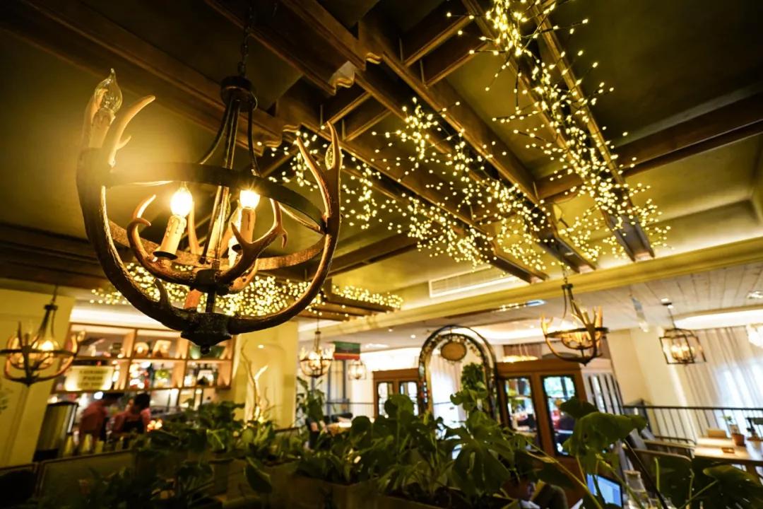 吃在济南|叮~您有一份圣诞套餐驾着麋鹿即将送达