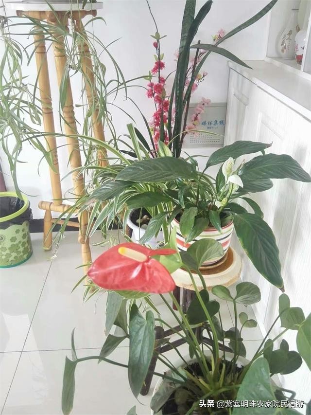 唐山乐亭月岛海之蓝海景公寓，凉爽的海风令人心旷神怡