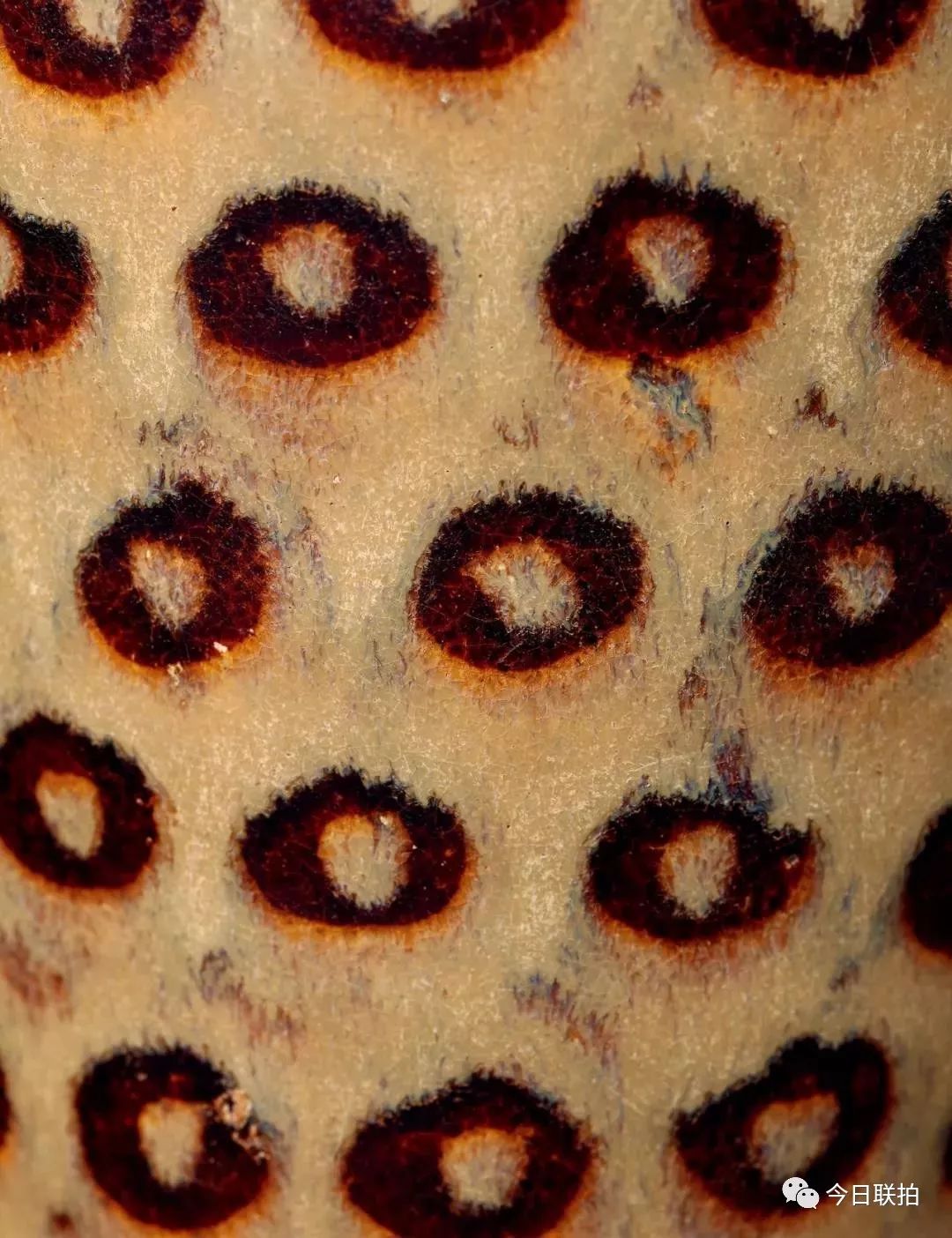 十年灵璧山居藏品,聚焦佳士得香港2023春拍