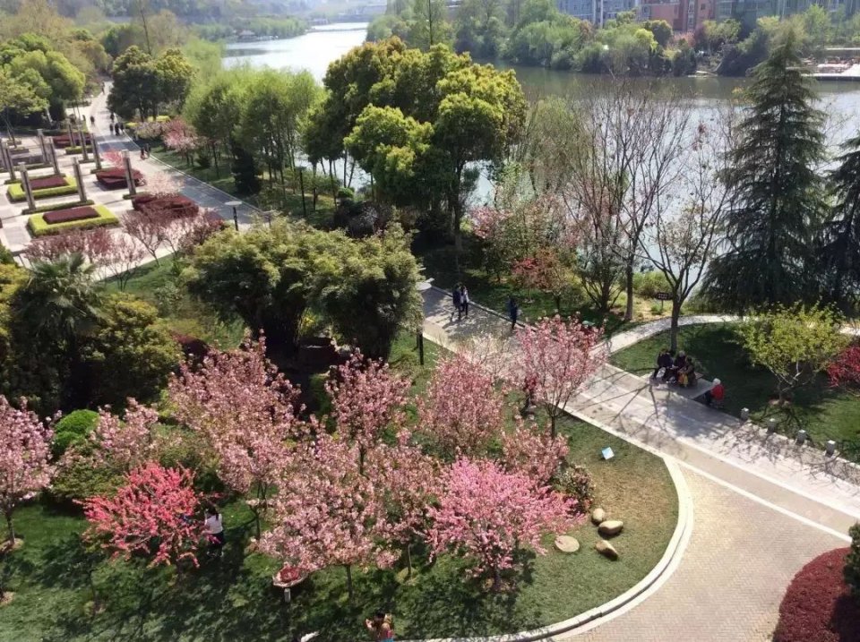 南京免费的公园,太全了全国旅游简图