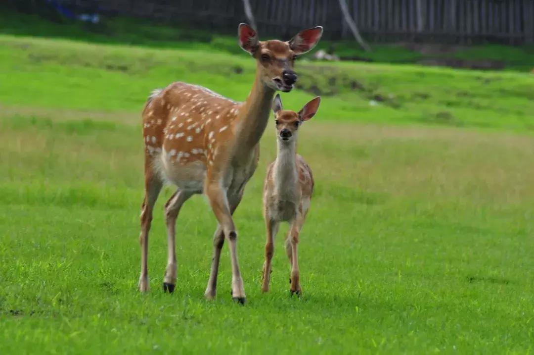 10个闺蜜，历时22天，沿着中俄边境跑了8100公里，刺激！（一）