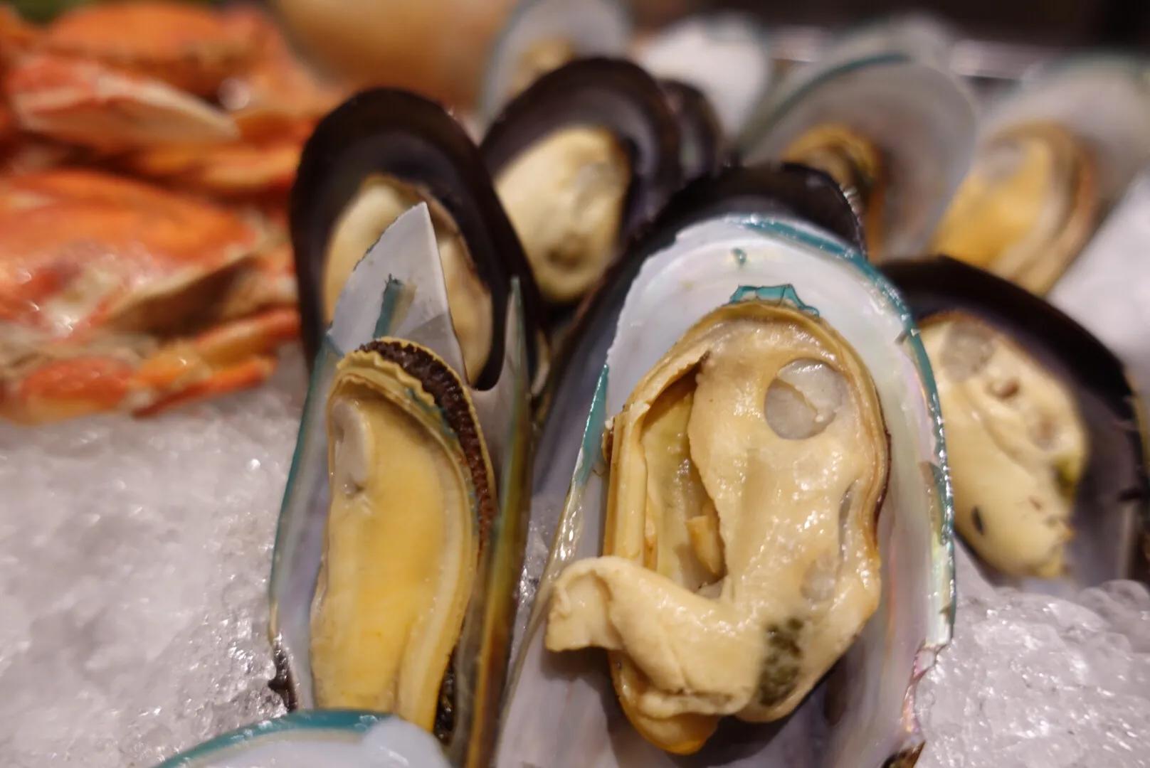 南京这家11年的酒店自助餐，现蒸海味畅吃！鲜掉眉毛～