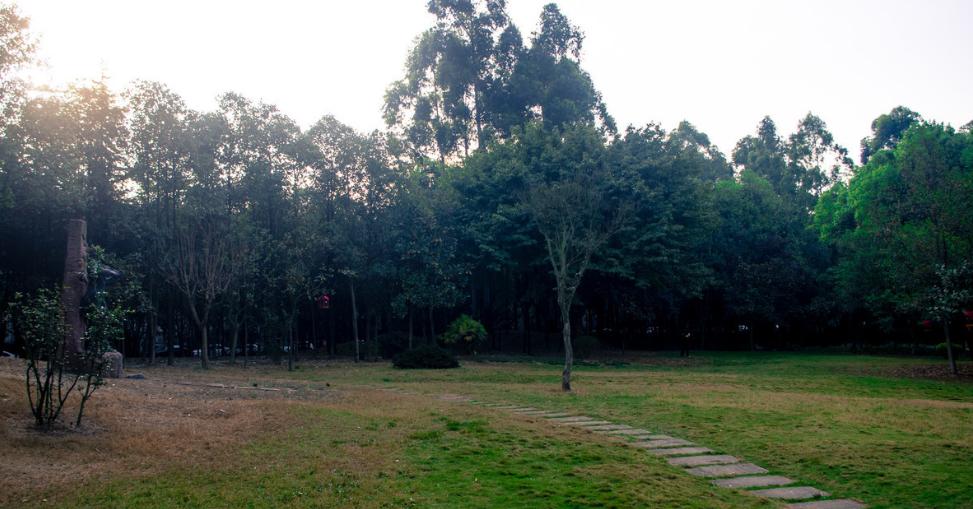 成都二环内10大公园,成都二环东湖公园