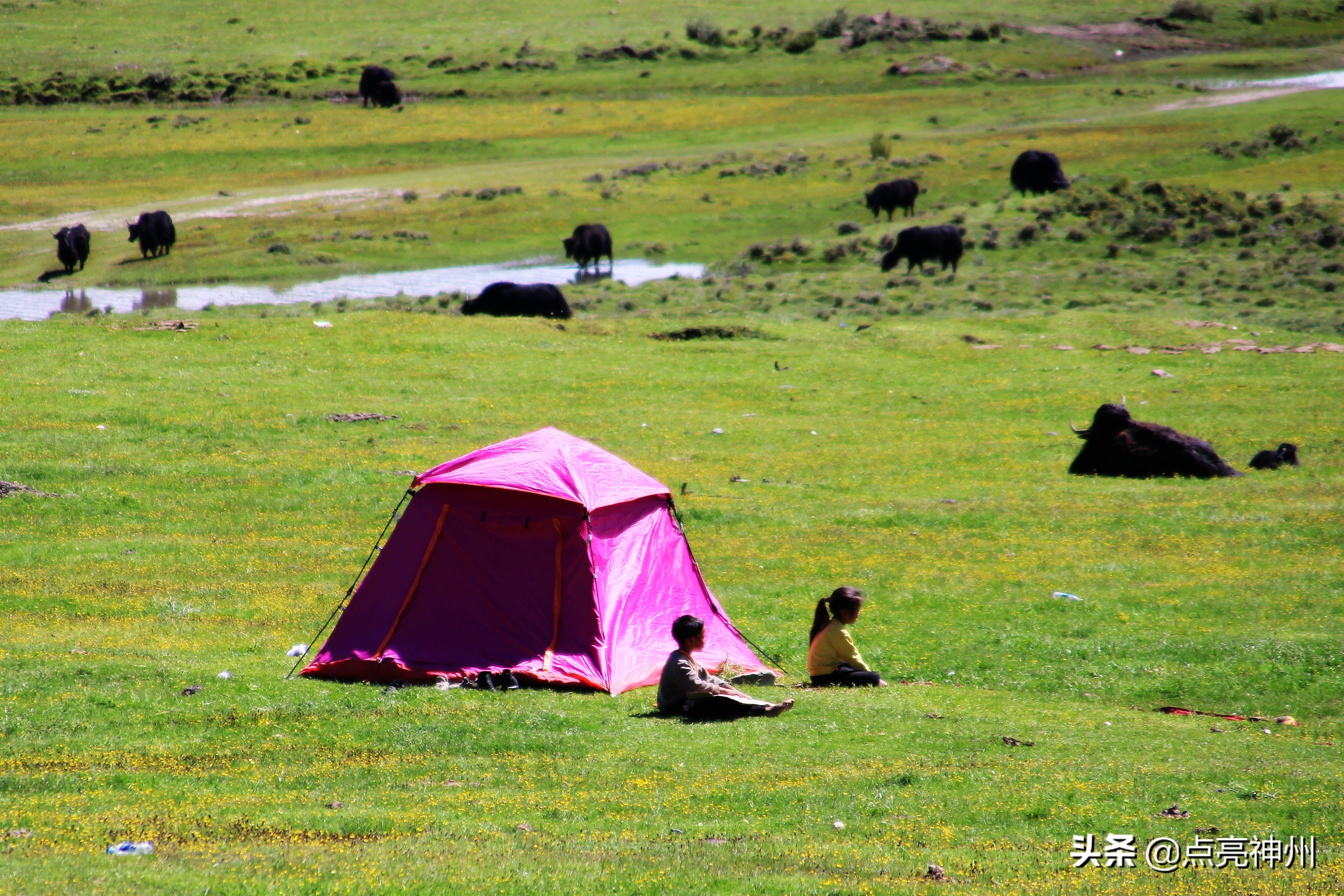 川藏线上都是哪里车牌,川藏线川a牌照