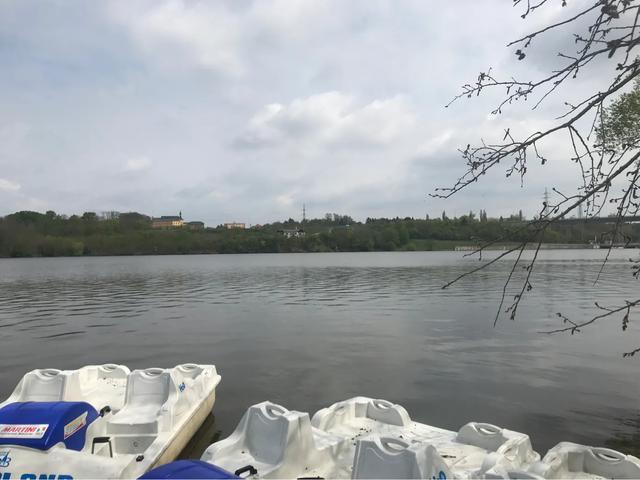 青岛皮尔森啤酒,雪津皮尔森啤酒