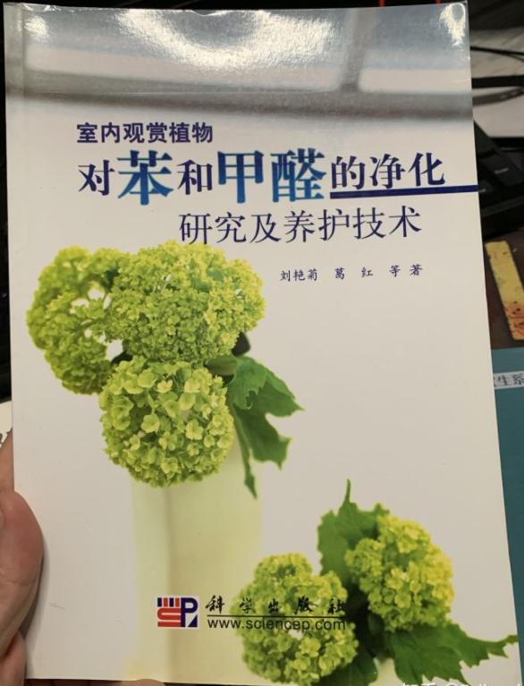净化空气的除甲醛室内植物有哪些,室内净化空气除甲醛的植物有哪些