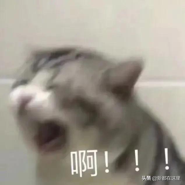 公交车来啦,2031实时公交查询