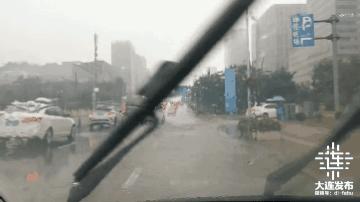 中心城区已清理305株倒伏树木，今夜大连仍风骤雨急！