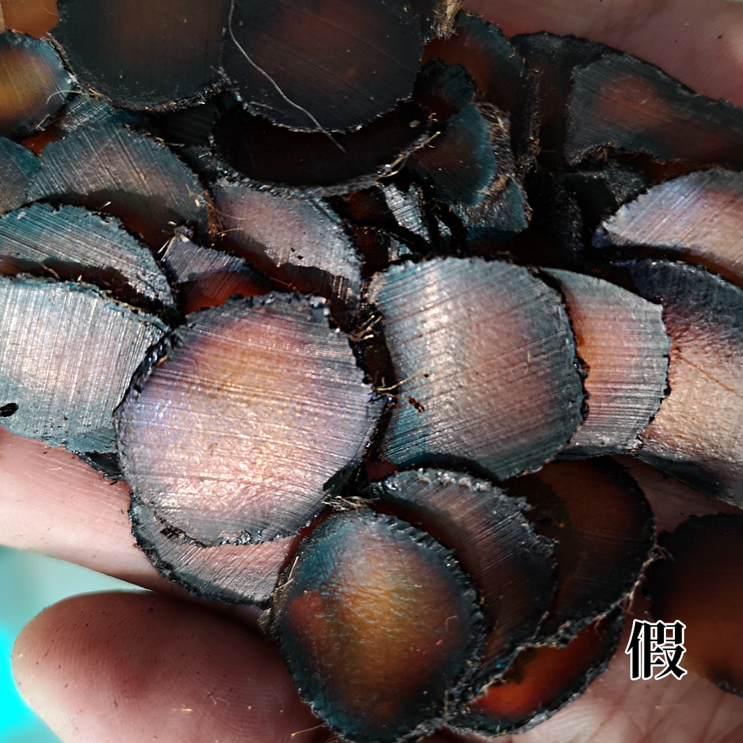 鹿茸片真假的鉴别,真的鹿茸片和假的鹿茸片怎么区分