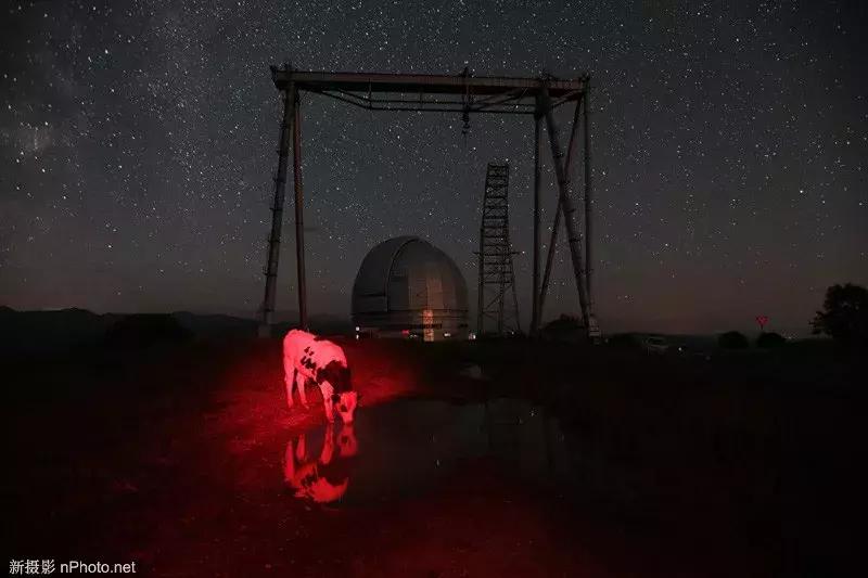 AndreiStenin国际新闻摄影大赛获奖作品