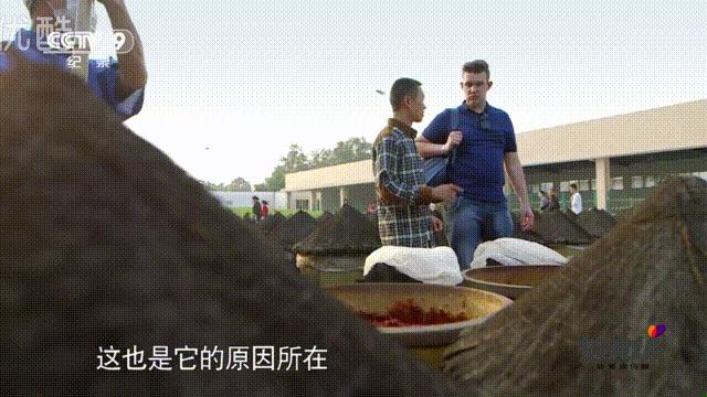 城市风景舌尖上的美食,吃货美食记忆