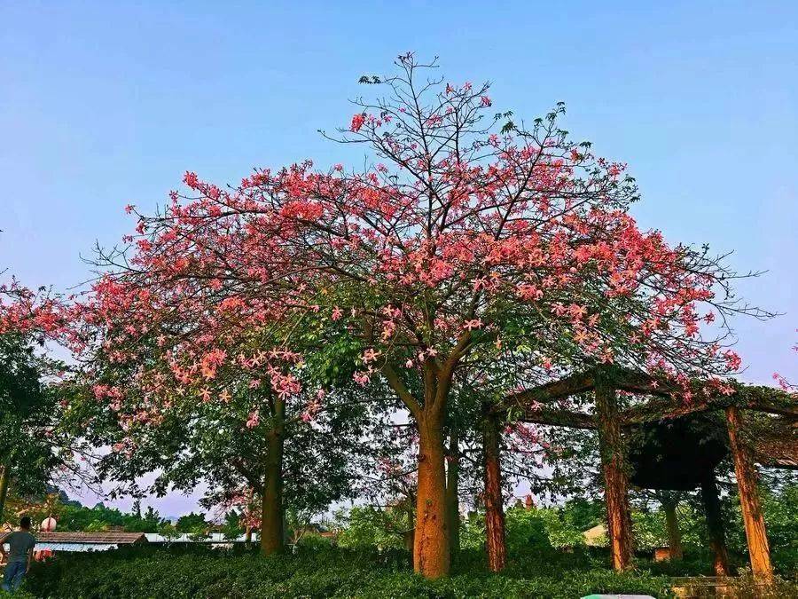 倒数狂欢夜,清远森波拉奇妙世界主题乐园住宿