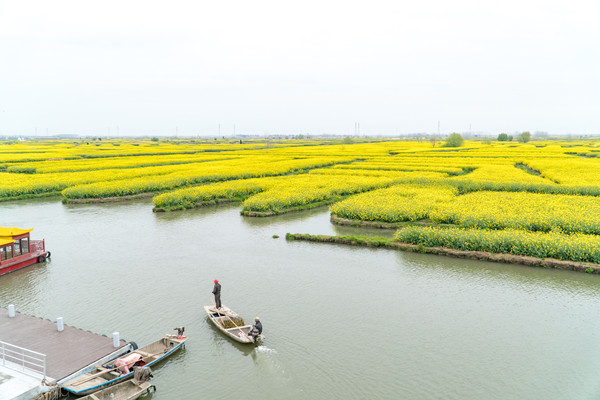 踏春赏花拍美景,踏春赏花逛湖