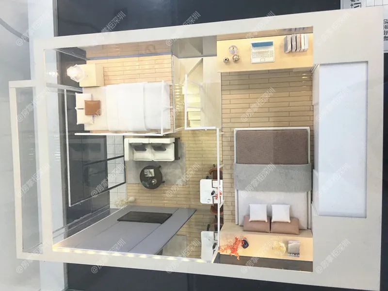 小巨蛋实测,小巨蛋48平