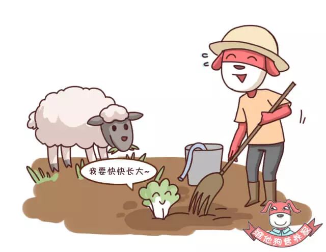 突然之间便秘失眠,一出远门就便秘怎么办